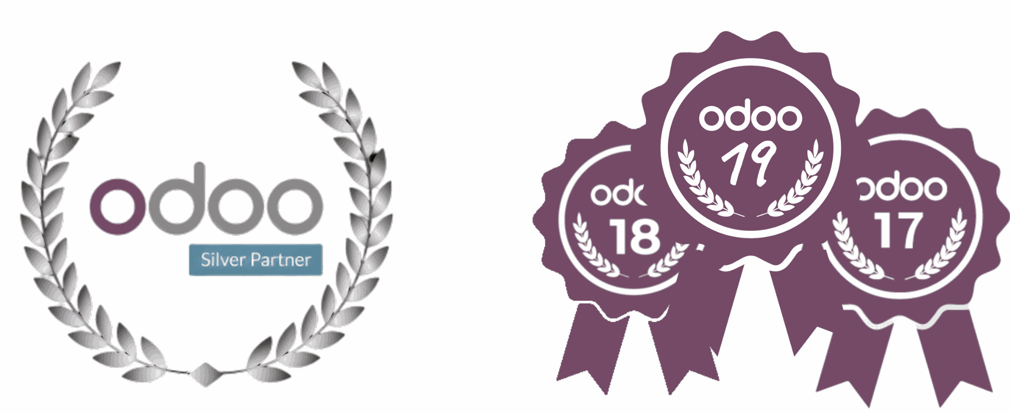 Odoo • Image and Text